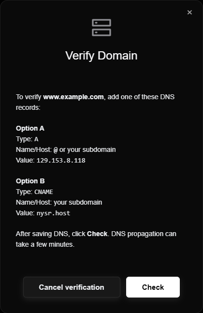 DNS verification and the Check button. Example domain.